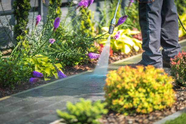 Best Gutter Cleaning  in Pine Ridge At Crestwood, NJ